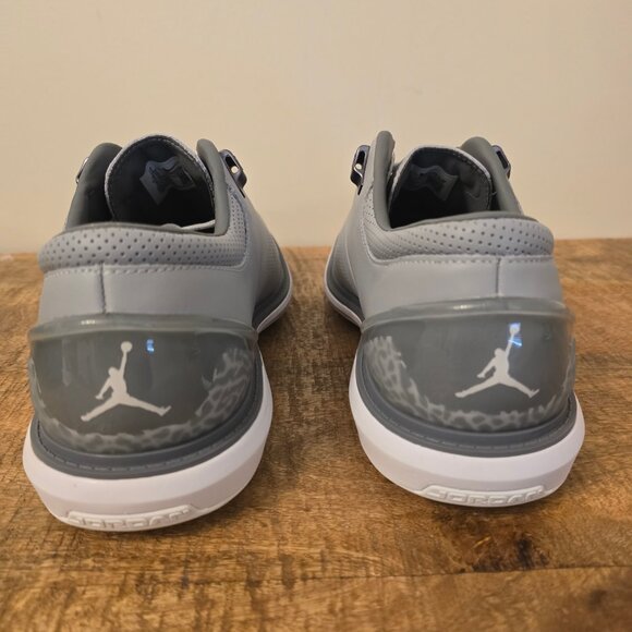 Nike Jordan ADG 4 Wolf Grey White Smoke Grey DM0103-010 NIB NO LID main image 9